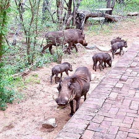 Villa The Bush Hut Hoedspruit Esterno foto