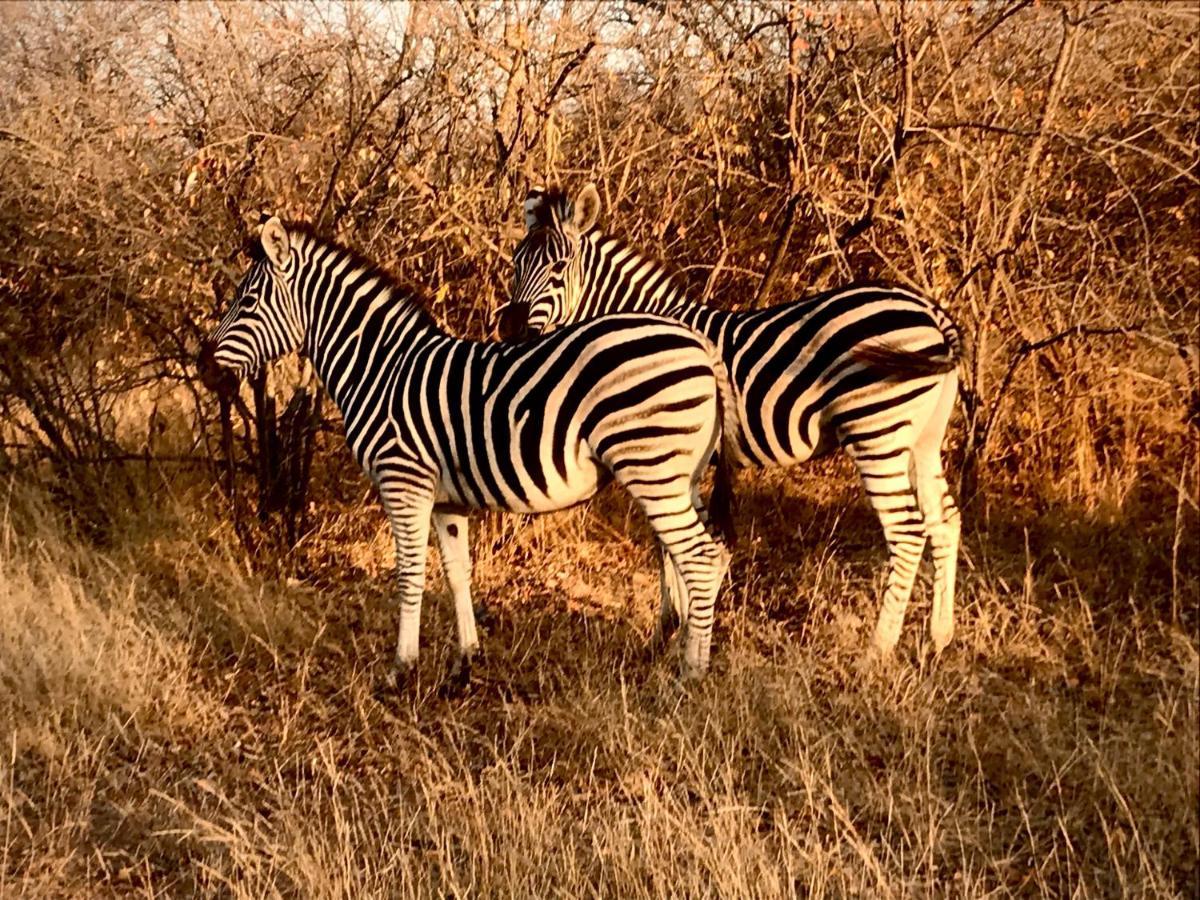 The Bush Hut Villa Hoedspruit Esterno foto