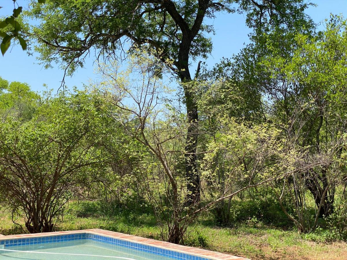 The Bush Hut Villa Hoedspruit Esterno foto